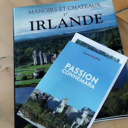 Maison De Campagne Au Coeur D'Un Elevage De Poneys Connemara Le Landreau المظهر الخارجي الصورة